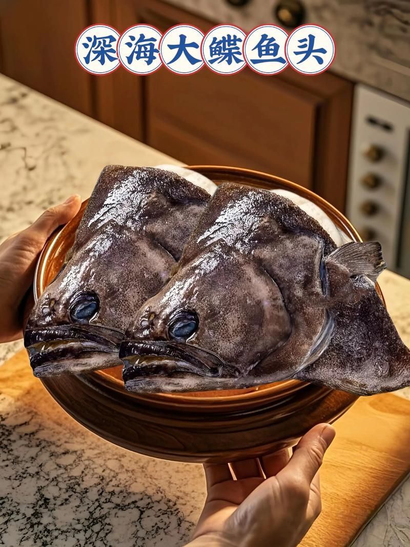 如何鑒別真假雪龍魚，“雪龍魚（lophiuspiscatorius）真假對比圖 如何鑒別真假雪龍魚，“雪龍魚（lophiuspiscatorius）真假對比圖 龍魚百科 第2張