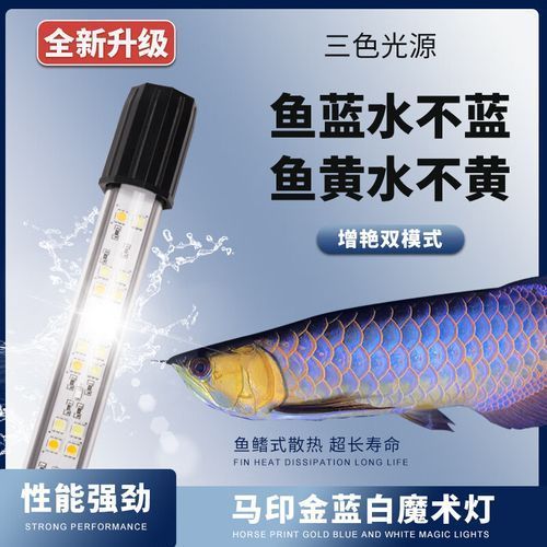 馬印龍魚燈有哪些型號可選，馬印龍魚燈型號對照表