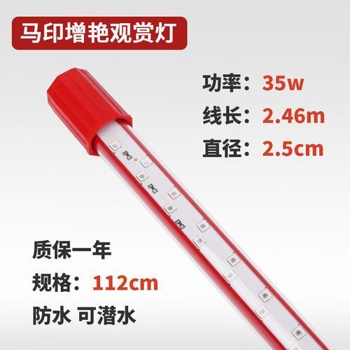 馬印龍魚燈有哪些型號可選，馬印龍魚燈型號對照表