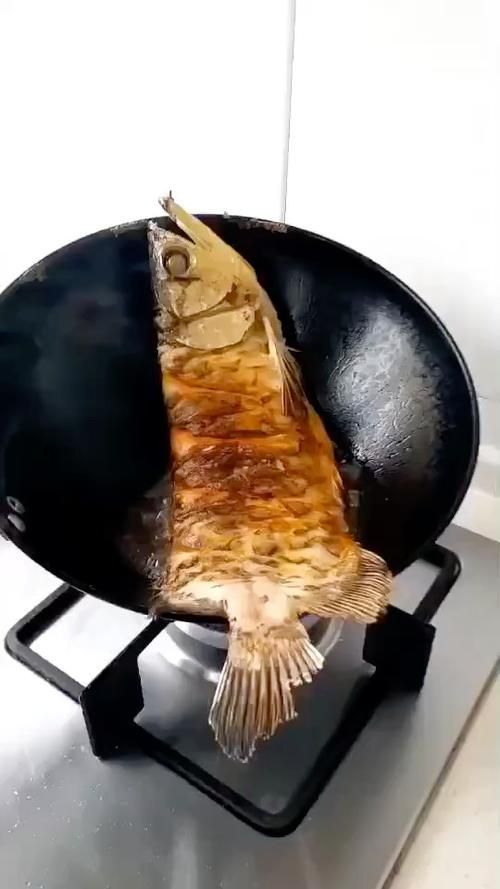 有沒(méi)有高清的紅燒龍魚(yú)圖片?,如何尋找高清的紅燒龍魚(yú)圖片 龍魚(yú)百科 第7張 有沒(méi)有高清的紅燒龍魚(yú)圖片?,如何尋找高清的紅燒龍魚(yú)圖片 有沒(méi)有高清的紅燒龍魚(yú)圖片?,如何尋找高清的紅燒龍魚(yú)圖片 龍魚(yú)百科 第7張
