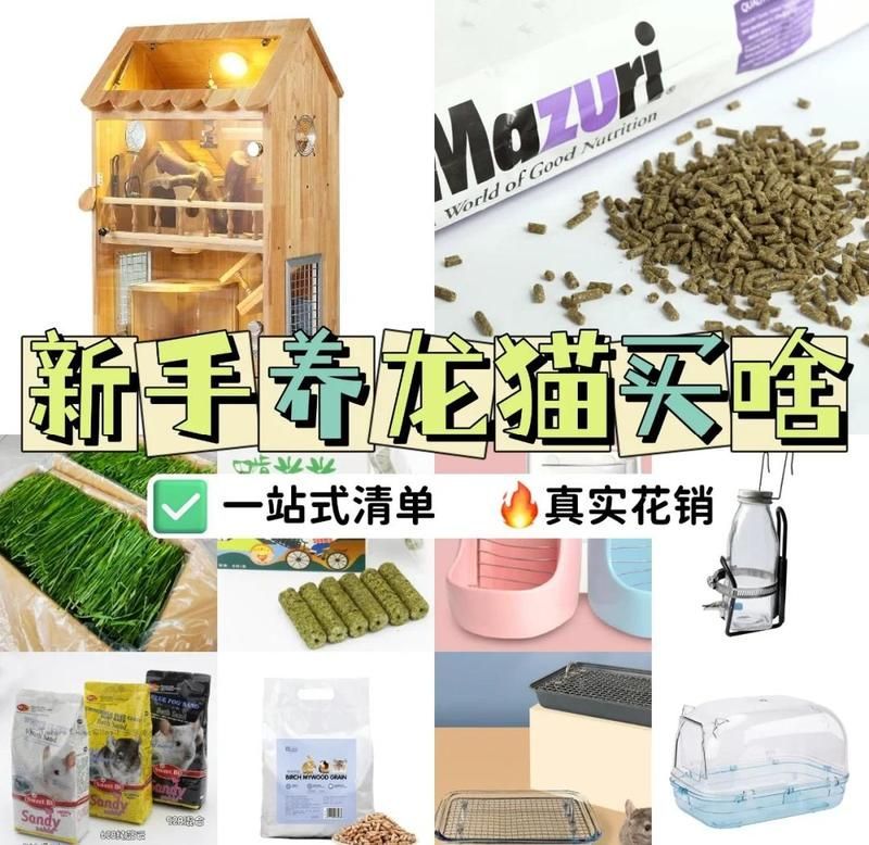 養龍貓的10個忠告，新手養龍貓的注意事項