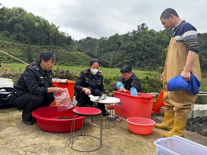石獅龍魚中呋喃唑酮代謝物超標對健康有何影響，關于石獅龍魚養殖中呋喃唑酮代謝物超標的建議