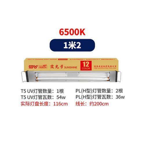 速倍妥霞光號適合哪些龍魚品種，速倍妥霞光號的選擇 速倍妥霞光號適合哪些龍魚品種，速倍妥霞光號的選擇 龍魚百科 第4張