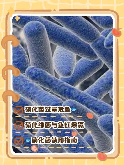 魚缸換水需要多長時間恢復