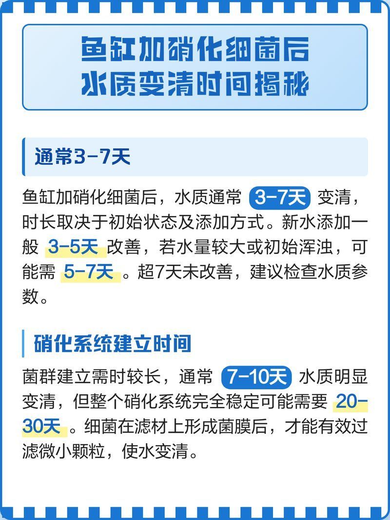 魚缸換水需要多長時間恢復