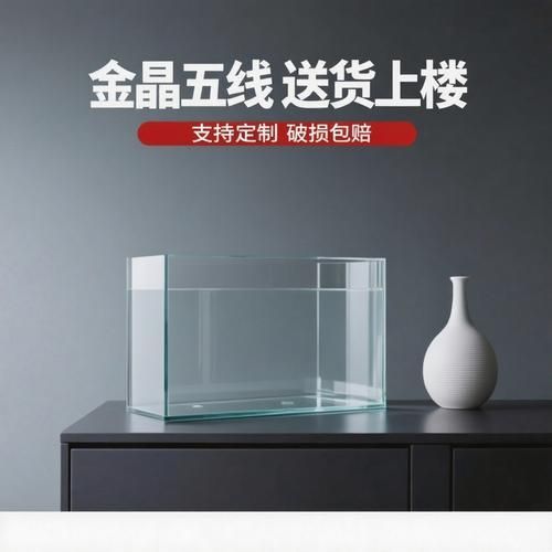 有哪些魚缸尺寸適合新手，60cm魚缸新手配置清單