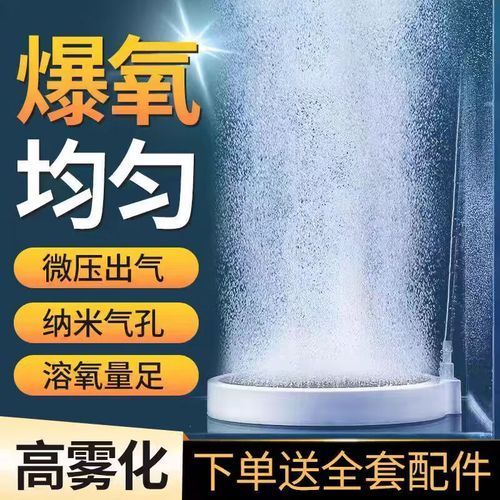 龍魚趴缸的6個原因及處理措施，龍魚趴缸的6個主要原因及處理措施，龍魚趴缸的6個原因及處理措施