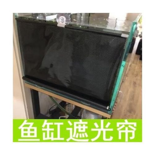 龍魚趴缸的6個原因及處理措施，龍魚趴缸的6個主要原因及處理措施，龍魚趴缸的6個原因及處理措施