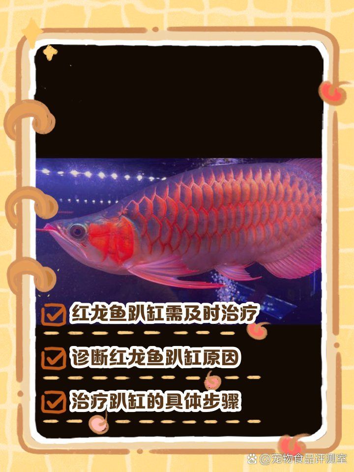 紅龍魚趴缸后如何恢復(fù)活力，紅龍魚趴缸后多久會(huì)恢復(fù)游動(dòng) 紅龍魚趴缸后如何恢復(fù)活力，紅龍魚趴缸后多久會(huì)恢復(fù)游動(dòng) 龍魚百科 第1張