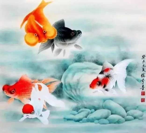 如何判斷金魚是否健康，如何判斷一缸觀賞魚，完全是比較健康的