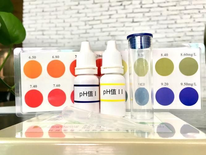 如何判斷水質是否適合紅龍魚？