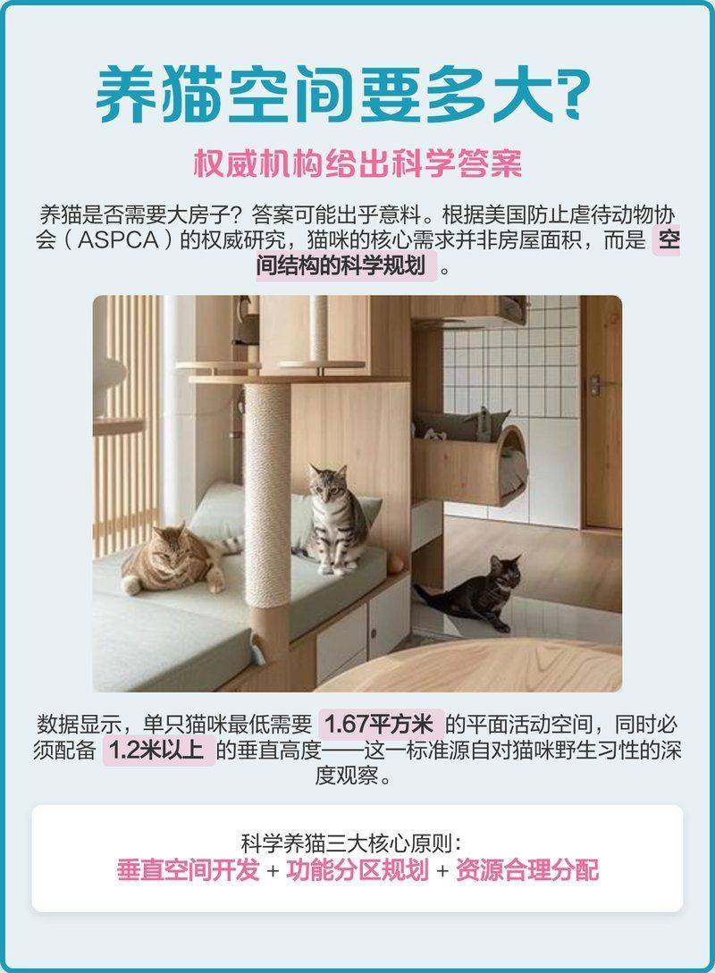 養魚和養貓哪個更需要空間