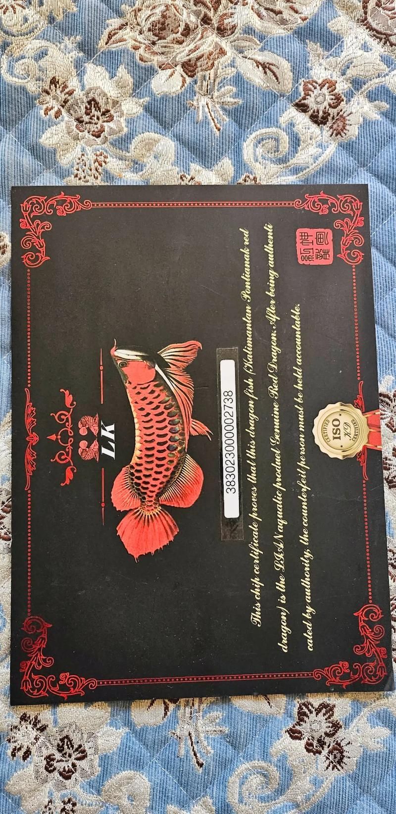 大湖紅龍的市場價格是多少，大湖紅龍魚市場價格普遍在數萬元以上，而普通亞成魚價格多集中在1000～5000元區間