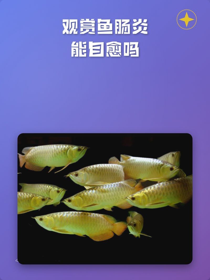 魚得了腸炎會自愈嗎，得了腸炎后，是否能自愈取決于多種因素