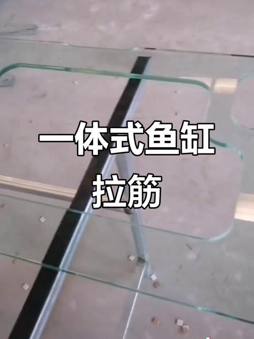劣質(zhì)魚缸有哪些常見問題，劣質(zhì)魚缸存在的常見問題