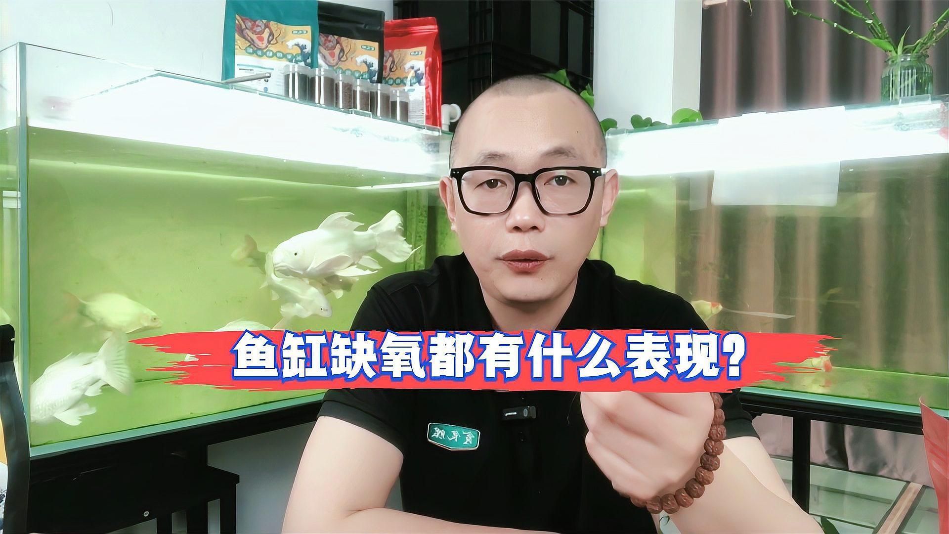 如何判斷魚缸是否缺氧？，如何判斷魚缸是否缺氧
