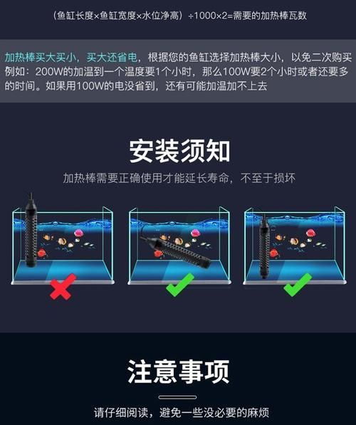 如何維持泗水龍魚水溫穩定，泗水龍魚（亞洲龍魚或紅龍魚或紅龍魚或紅龍魚）是熱帶觀賞魚