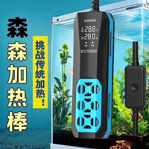 如何維持泗水龍魚水溫穩定，泗水龍魚（亞洲龍魚或紅龍魚或紅龍魚或紅龍魚）是熱帶觀賞魚