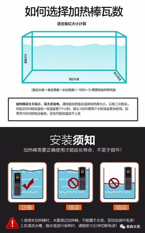 如何維持泗水龍魚水溫穩定，泗水龍魚（亞洲龍魚或紅龍魚或紅龍魚或紅龍魚）是熱帶觀賞魚