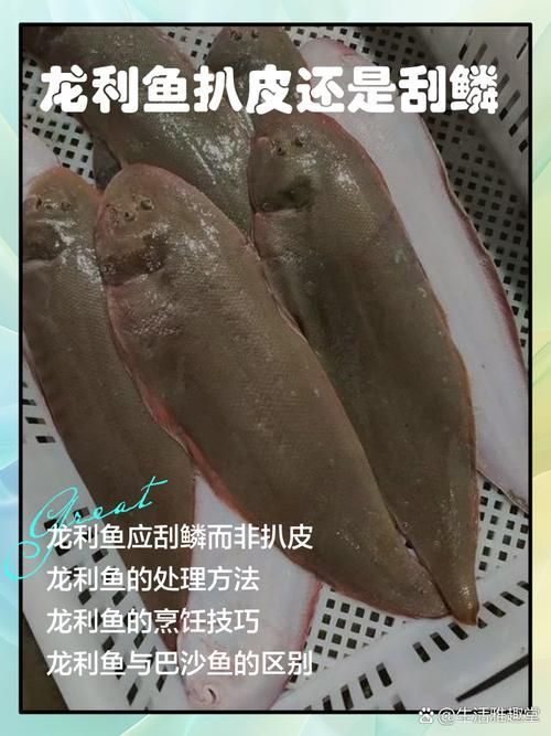 如何判斷魚受傷的程度，如何判斷魚的受傷程度 如何判斷魚受傷的程度，如何判斷魚的受傷程度 龍魚百科 第3張