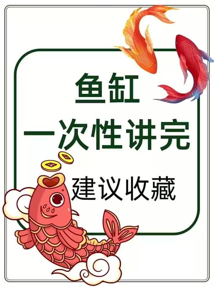 屬龍人養魚需要多大的魚缸，屬龍人養魚有哪些禁忌？