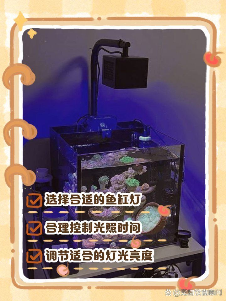 有哪些方法可以降低魚缸的光照強度？，如何降低魚缸光照強度
