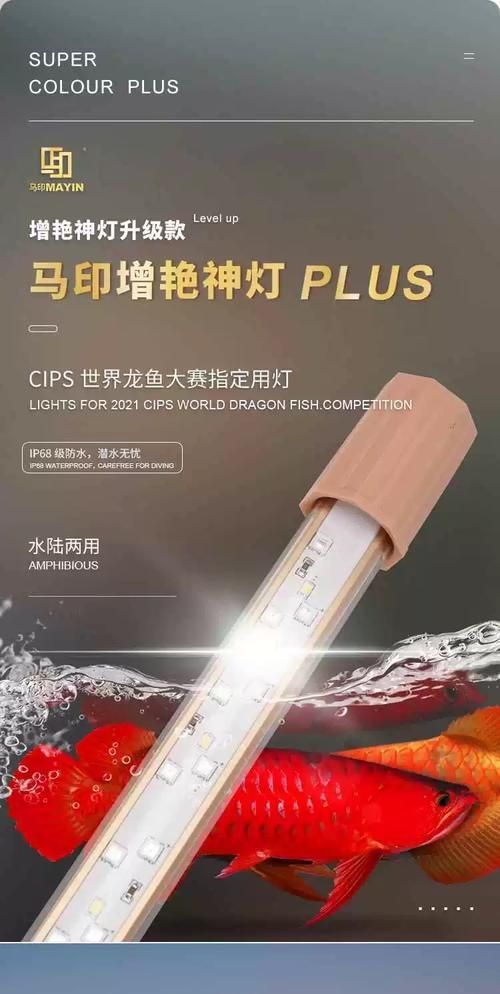 有哪些品牌龍魚燈值得推薦？，龍魚燈品牌龍魚燈選購對(duì)比推薦：**beldon龍魚燈