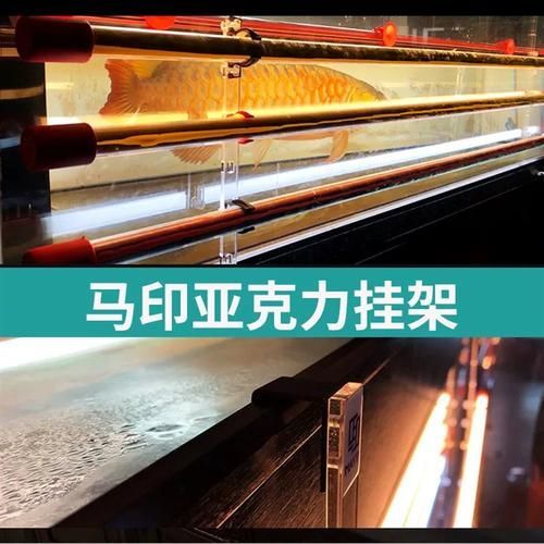 有哪些品牌龍魚燈值得推薦？，龍魚燈品牌龍魚燈選購對(duì)比推薦：**beldon龍魚燈