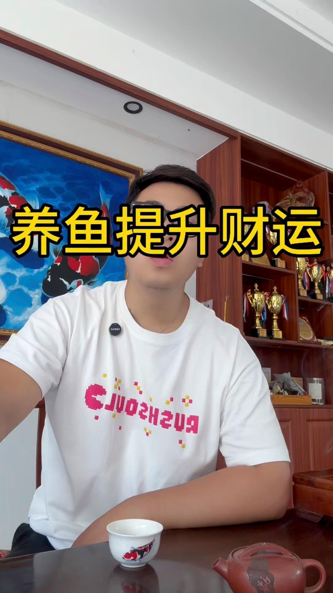 什么魚招財鎮宅又好養，風水學中養什么魚最招財？ 什么魚招財鎮宅又好養，風水學中養什么魚最招財？ 龍魚百科 第1張