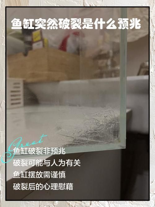 如何判斷魚缸是否需要維修？，如何判斷魚缸是否需要維修