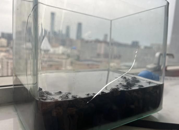 如何判斷魚缸是否需要維修？，如何判斷魚缸是否需要維修
