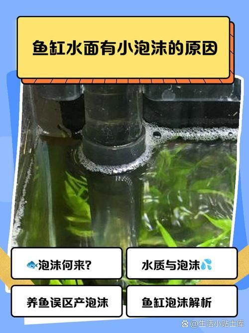 如何判斷魚缸是否需要維修？，如何判斷魚缸是否需要維修