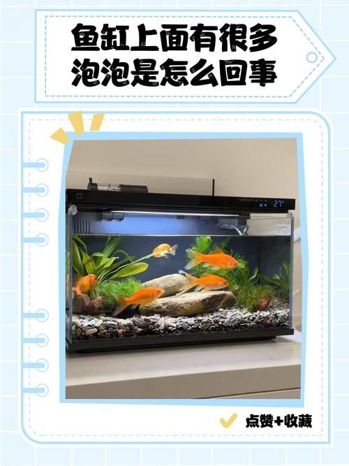 如何判斷魚缸是否需要維修？，如何判斷魚缸是否需要維修