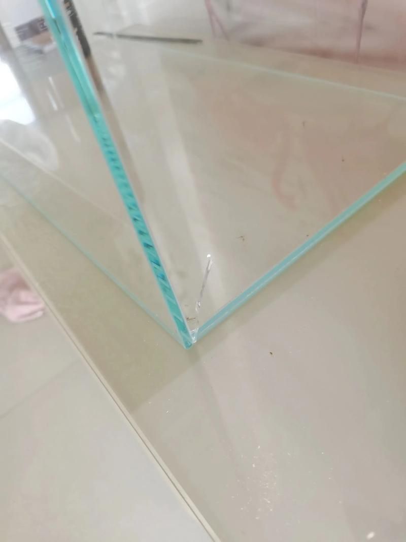 如何判斷魚缸是否需要維修？，如何判斷魚缸是否需要維修