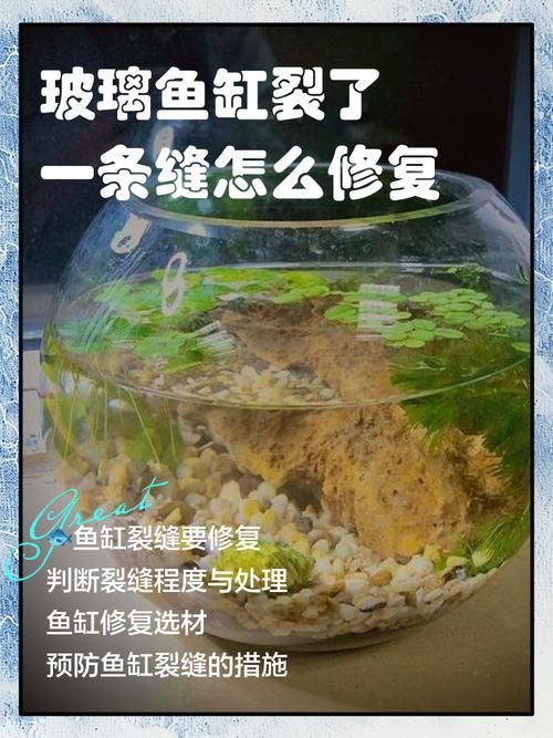 如何判斷魚缸是否需要維修？，如何判斷魚缸是否需要維修