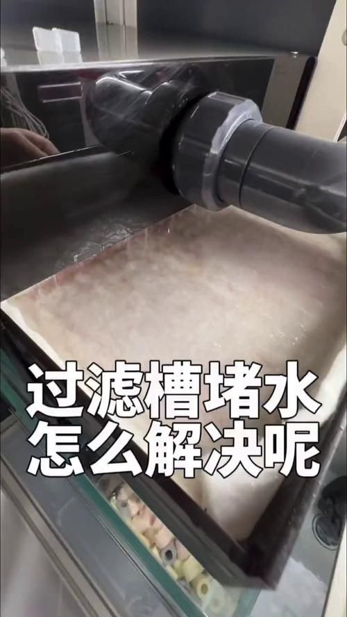 如何判斷魚缸是否需要維修？，如何判斷魚缸是否需要維修