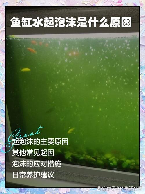 如何判斷魚缸是否需要維修？，如何判斷魚缸是否需要維修