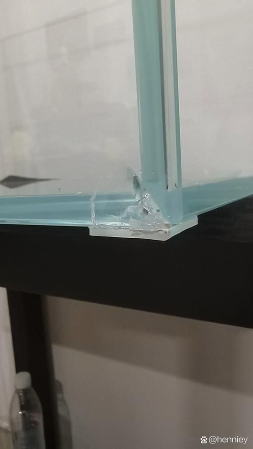 如何判斷魚缸是否需要維修？，如何判斷魚缸是否需要維修