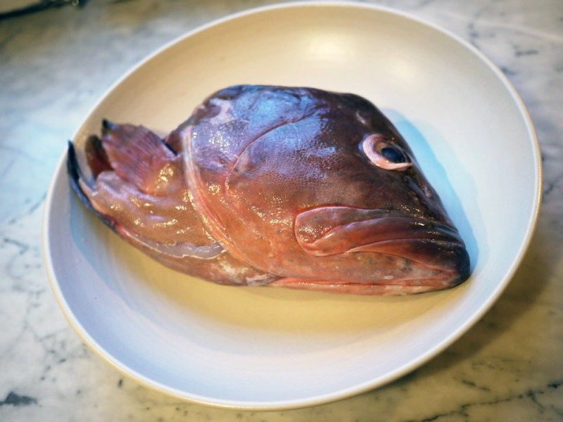 龍魚浮頭魚頭最簡單做法，龍魚浮頭魚頭