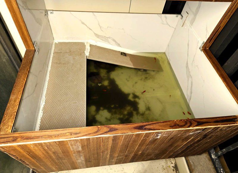 龜魚共養需要哪些設備，低成本打造龜魚混養缸全攻略堅持就是勝利victory