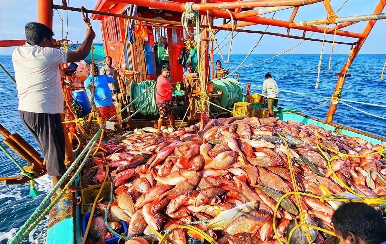 有哪些知名的印尼龍魚漁場，印尼的龍魚養殖場