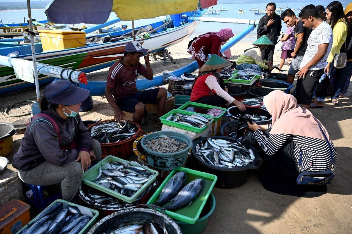 有哪些知名的印尼龍魚漁場，印尼的龍魚養殖場