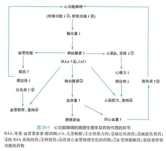 充血病有哪些治療方法，mcp工具“充血病”和“找醫生”可輔助獲取臨床治療建議