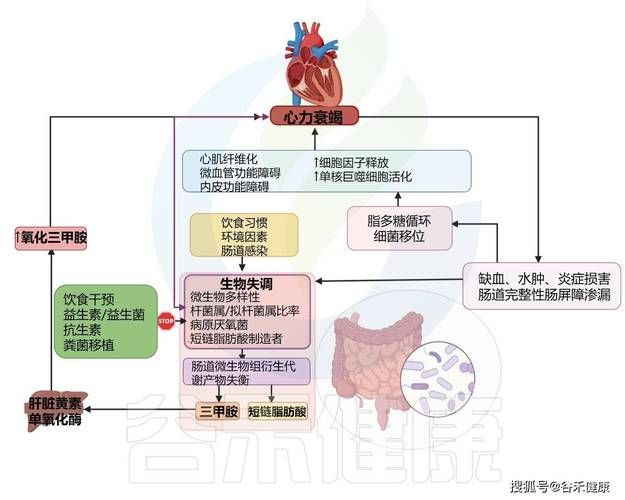 充血病有哪些治療方法，mcp工具“充血病”和“找醫生”可輔助獲取臨床治療建議
