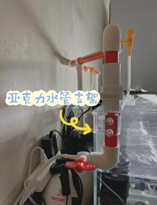 如何預防孔雀魚腹水病，孔雀魚腹水病的預防