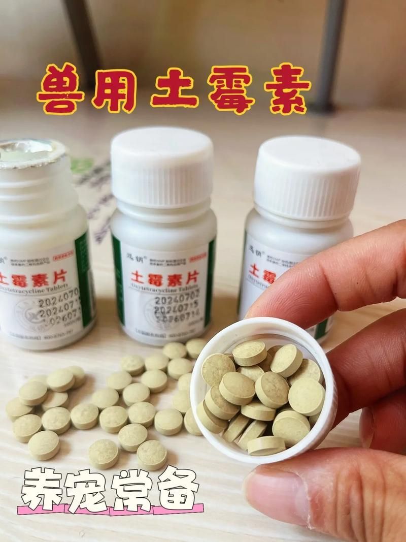 哪種藥物對龍魚艾滋病最有效？，“龍魚艾滋病并非真實醫學術語
