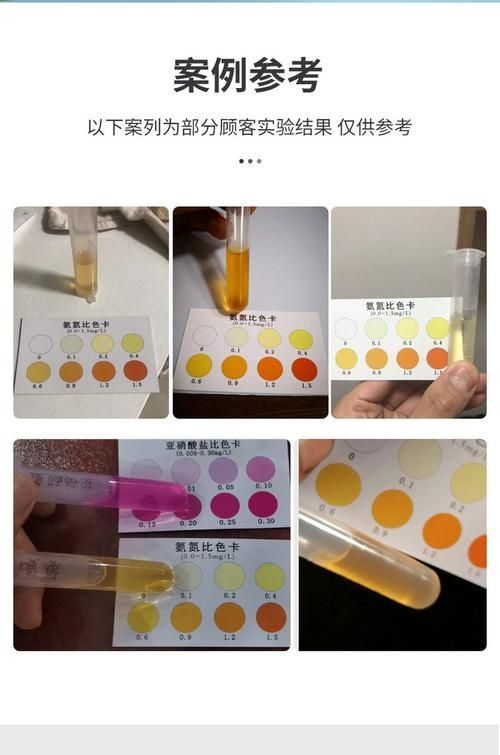 如何預防銀龍魚豎鱗病的復發，銀龍魚豎鱗病復發預防 如何預防銀龍魚豎鱗病的復發，銀龍魚豎鱗病復發預防 龍魚百科 第10張