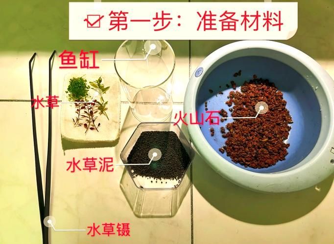 錦鯉魚缸使用益生菌的用量，錦鯉魚缸使用益生菌在水產養殖中用于改善水質、分解有機物、抑制有害物質