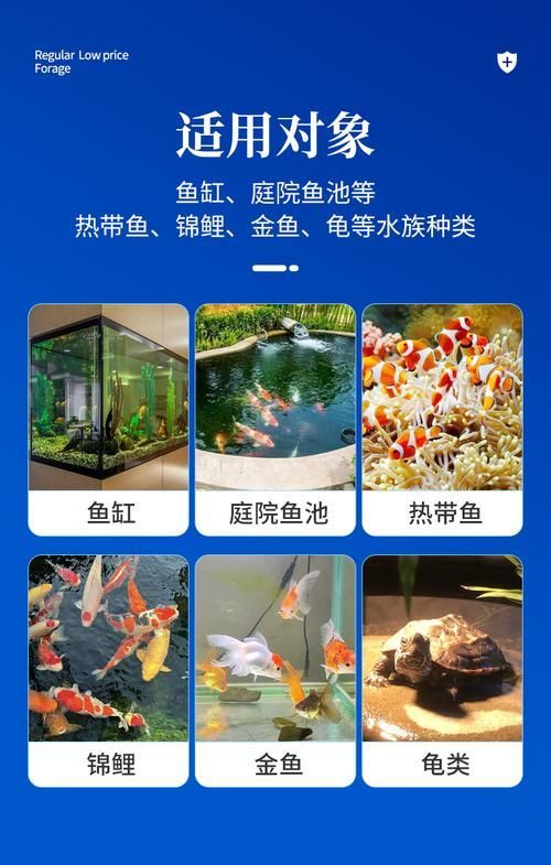 錦鯉魚缸使用益生菌的用量，錦鯉魚缸使用益生菌在水產養殖中用于改善水質、分解有機物、抑制有害物質