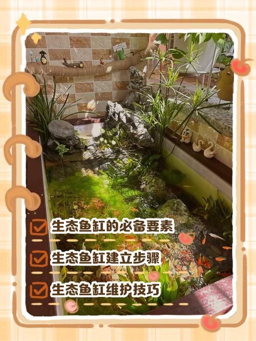 錦鯉魚缸使用益生菌的用量，錦鯉魚缸使用益生菌在水產養殖中用于改善水質、分解有機物、抑制有害物質